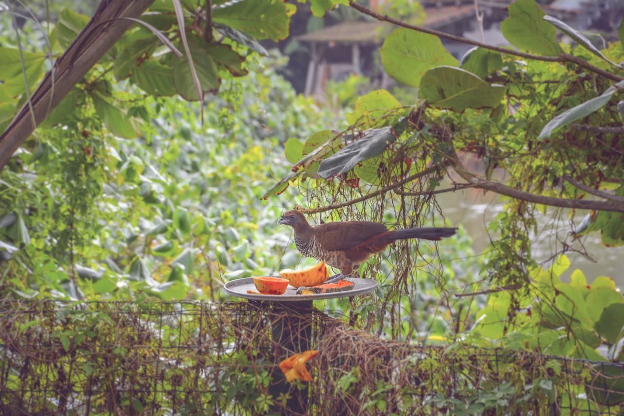 Pousada Canto Da Brava Balneário Camboriú Esterno foto